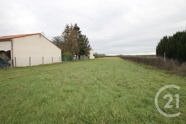 terrain - LE MAYET D ECOLE - 03