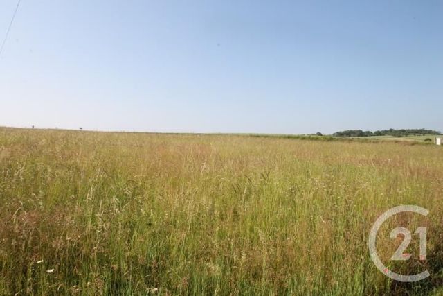 Terrain à vendre - 1546 m2 - Begues - 03 - AUVERGNE