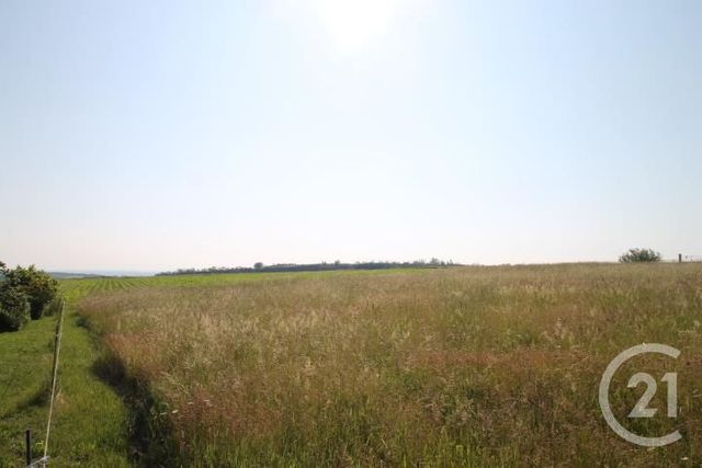 Terrain à vendre - 1546 m2 - Begues - 03 - AUVERGNE