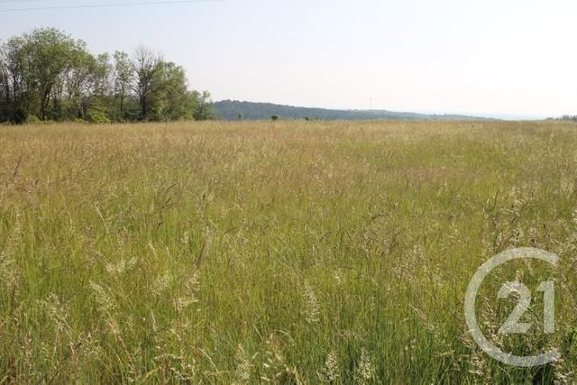 Terrain à vendre - 1546 m2 - Begues - 03 - AUVERGNE