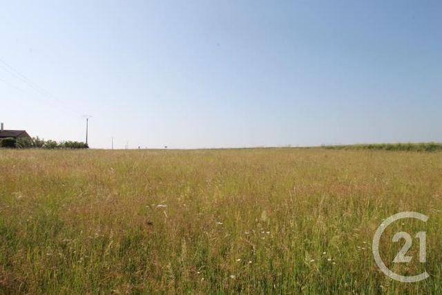 Terrain à vendre - 1546 m2 - Begues - 03 - AUVERGNE