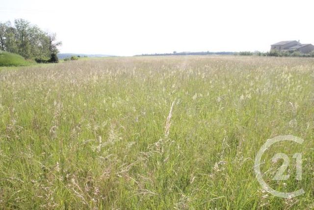 Terrain à vendre - 1546 m2 - Begues - 03 - AUVERGNE