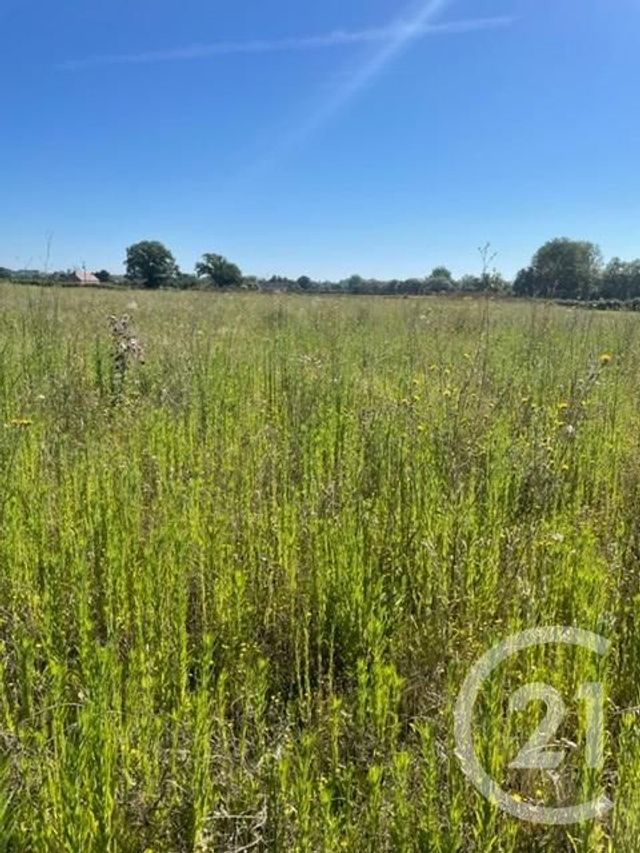 Terrain &agrave; vendre - 3170 m2 - Chezelle - 03 - AUVERGNE