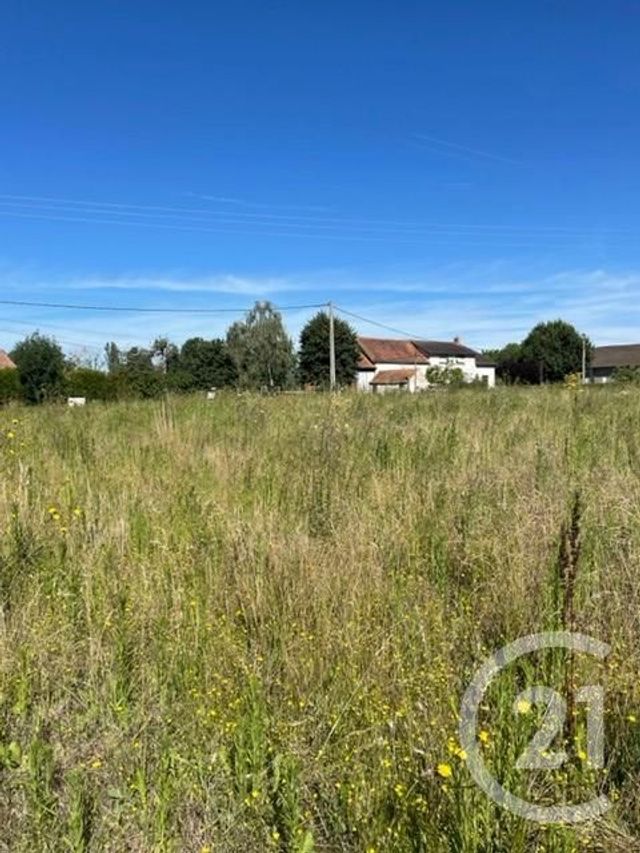 Terrain &agrave; vendre - 3170 m2 - Chezelle - 03 - AUVERGNE