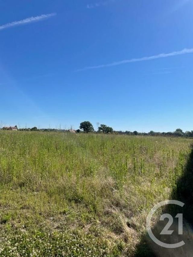 Terrain &agrave; vendre - 3170 m2 - Chezelle - 03 - AUVERGNE