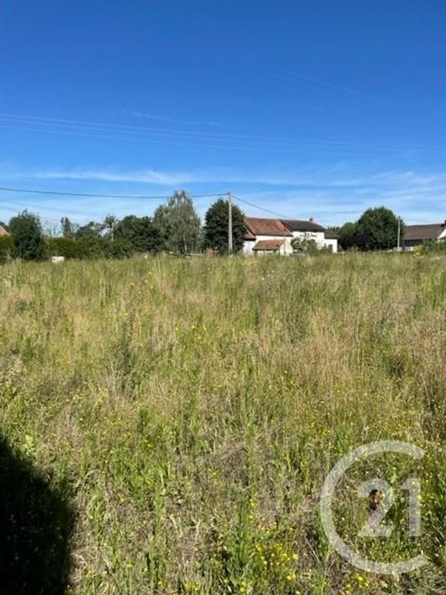 Terrain &agrave; vendre - 3170 m2 - Chezelle - 03 - AUVERGNE