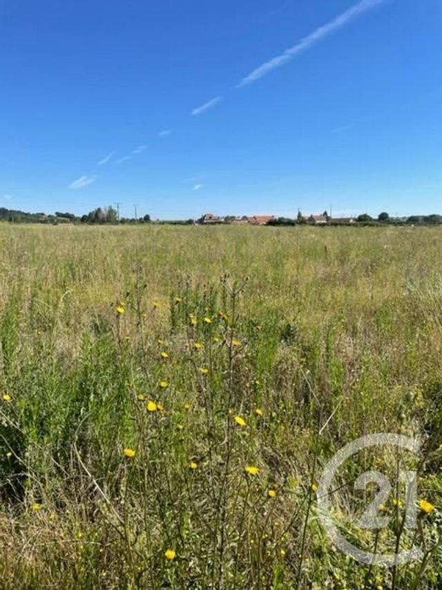 Terrain &agrave; vendre - 3170 m2 - Chezelle - 03 - AUVERGNE