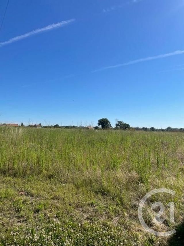 Terrain &agrave; vendre - 3170 m2 - Chezelle - 03 - AUVERGNE