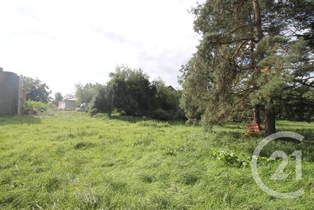 Terrain à vendre - 1300 m2 - Villeneuve Les Cerfs - 63 - AUVERGNE
