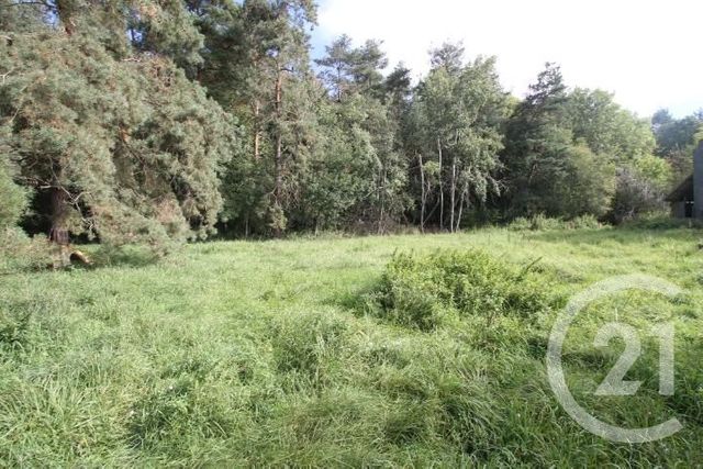 Terrain à vendre - 1300 m2 - Villeneuve Les Cerfs - 63 - AUVERGNE