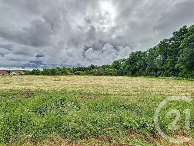 Terrain à vendre - 2781 m2 - Biozat - 03 - AUVERGNE