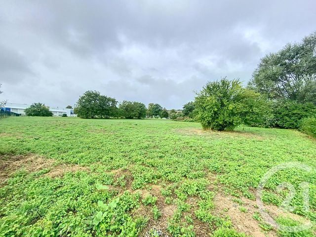 Terrain à vendre - 6224 m2 - Gannat - 03 - AUVERGNE