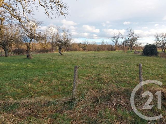 Terrain à vendre - 1500 m2 - Espinasse Vozelle - 03 - AUVERGNE