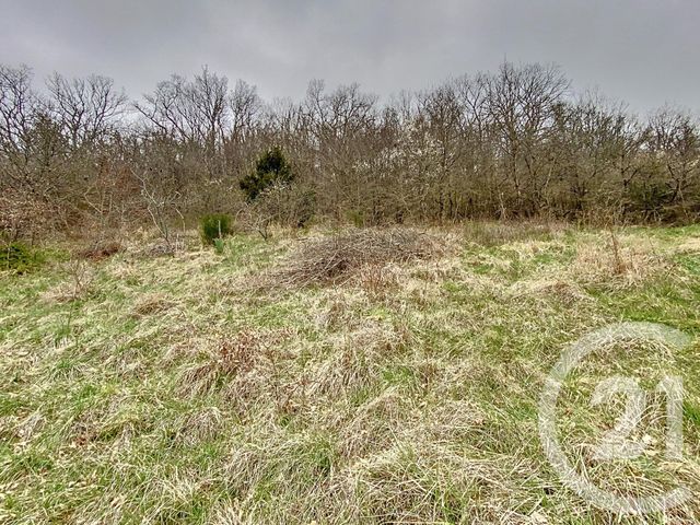 Maison à vendre - 4 pièces - 117 m2 - Bellenaves - 03 - AUVERGNE