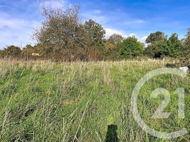 Afficher la photo en grand Maison à vendre - 7 pièces - 100 m2 - Nades - 03 - AUVERGNE