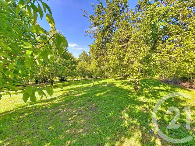 Maison à vendre - 4 pièces - 70 m2 - Veauce - 03 - AUVERGNE