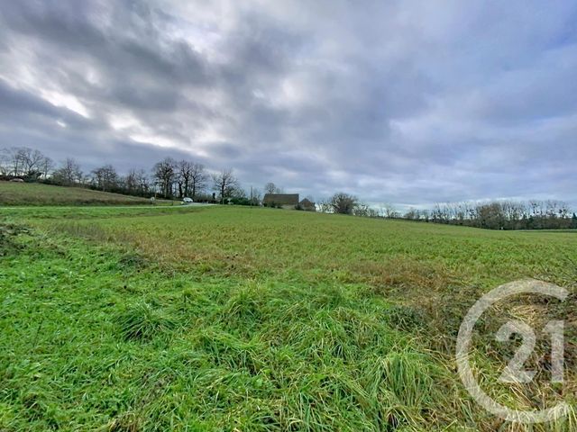 Maison &agrave; vendre - 5 pi&egrave;ces - 109,75 m2 - Brout Vernet - 03 - AUVERGNE