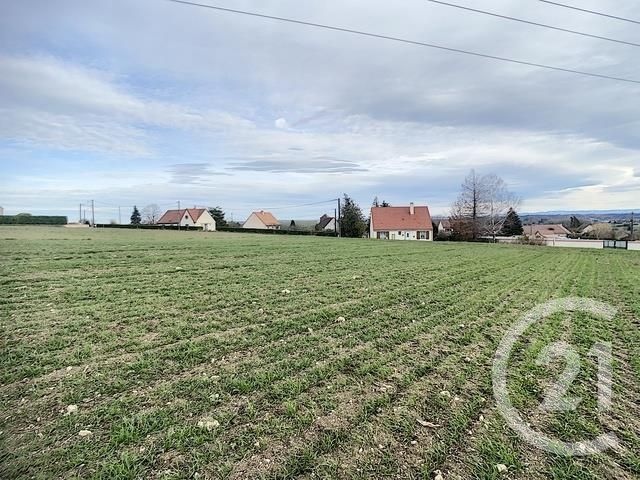 Terrain à vendre - 1502 m2 - Saulcet - 03 - AUVERGNE