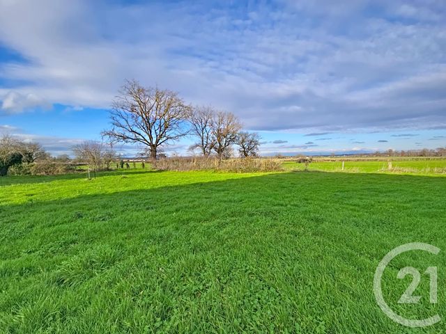 Maison &agrave; vendre - 8 pi&egrave;ces - 173,90 m2 - Loriges - 03 - AUVERGNE