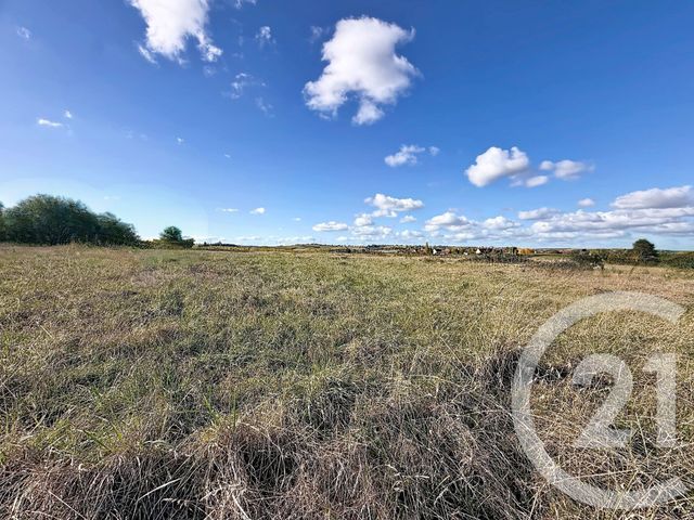 Terrain &agrave; vendre - 6474 m2 - St Pourcain Sur Sioule - 03 - AUVERGNE