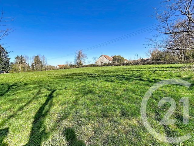 Terrain à vendre LE MONTET