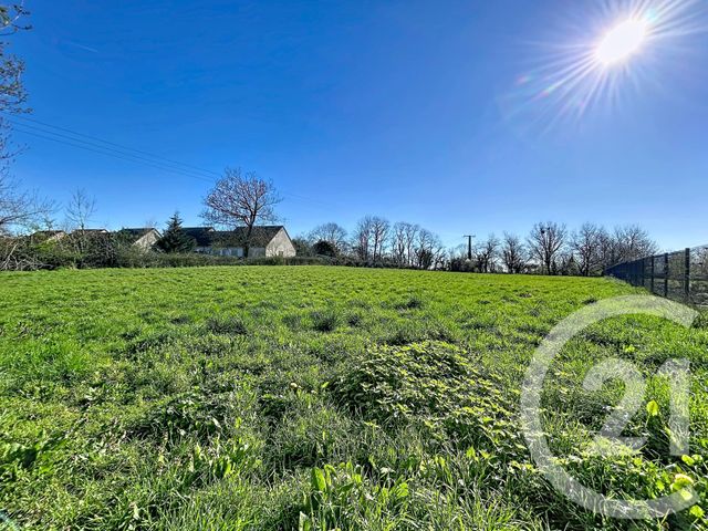 Terrain à vendre LE MONTET